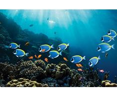 Pyramid International Surgeonfish and Goldies Maxi Póster, Plástico/Vidrio, Multicolor 61 x 91,5 x 1,3 cm