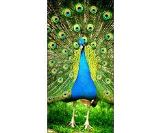 Pro-Art g1819g - Lienzo en impresión giclée (50 x 100 cm), diseño de pavo real II,, 100 x 50 cm