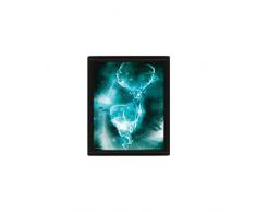 Pyramid International Harry Potter Expecto Patronum 3D póster Lenticular, Multicolor, 10 x 8 x 1,3 cm
