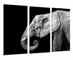 Poster FotogrÃ¡fico Elefante Blanco y Negro, Animales Salvajes, Naturaleza TamaÃ±o total: 97 x 62 cm XXL