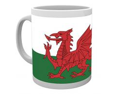 GB eye LTD, Wales, Flag, Taza