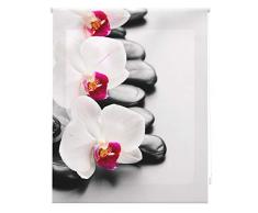 Blindecor Estor enrollable translÃºcido digital, Zen,W-Z-81465,160X180 cm