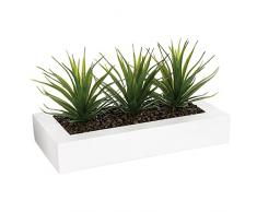 Centro de Mesa - 3 Aloe Vera - H 17 cm