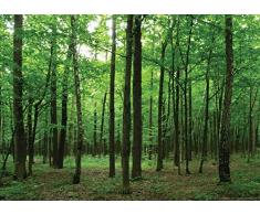 AG Design FTNM 2656 Mural fotogrÃ¡fico para la Pared, Multicolor, 160 x 110