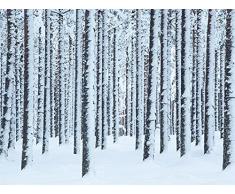 Art Group Lienzo Impreso Frosted Trees, Finlandia, Multicolor, 0.96 x 60 x 3 cm
