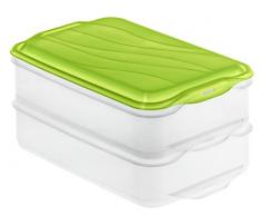 Rotho 1701905503 – Recipiente hermético Food Center Rondo, Caja Embutidos 2 Piezas, Volumen 2 x 1,35 L, plástico, Transparente/Verde, 24 x 16 x 11 cm
