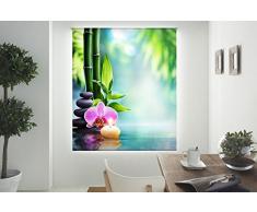 Blindecor Estor enrollable translÃºcido digital, Cocina, W-C-03198, 150x180 cm