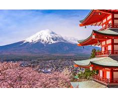 AG Design Mural fotogrÃ¡fico para la Pared, Multicolor, 360 x 270 cm