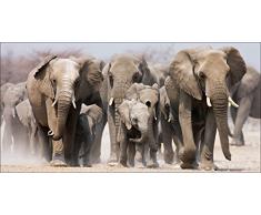 Pro-Art-Bilderpalette Mural fotogrÃ¡fico de Pared, Multicolor