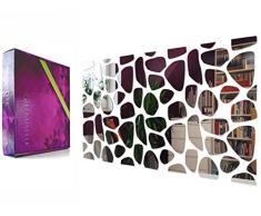 FLEXISTYLE Espejo de acrÃ­lico Decorativo Ãºnico Rocks 100x50 cm, 3mm, irrompible, hazlo tu Mismo, Made in EU