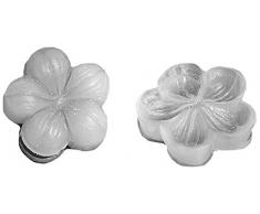 silikomart 71.929.86.0096 - Molde de Silicona para Gum Paste SLK929; Forma: Hoja; Color: Transparente.