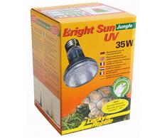 Lucky Reptile - Lámpara solar, brillante