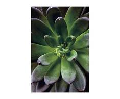 Komar Wandbild Von Succulent Single | Poster, Bild, Wohnzimmer, Schlafzimmer, Dekoration, Kunstdruck | ohne Rahmen | P048-50x70 fotomural, GrÃ¼n, Lilla