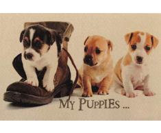 Ilias Trade Deco-Star Alfombra, Multicolor, Talla única