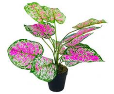 Geko - Planta Artificial de dieffenbachia (51 cm), Color Verde, Rosa, Talla pequeña