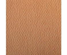 Clairefontaine - Ref 93787C - Papel de dibujo granulado de color Etival (24 hojas de papel), 50 x 65 cm, papel de arte de celulosa, 160 g/m², sin ácidos, pH neutro
