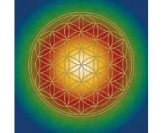 Berk PO-005 Spirituelle Kunst - Póster de la flor de la vida, multicolor