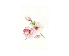 Komar Wandbild Von Magnolia Breathe | Poster, Bild, Wohnzimmer, Schlafzimmer, Dekoration, Kunstdruck | ohne Rahmen | P073A-30x40 fotomural, Rosa, GrÃ¼n, WeiÃ, GrÃ¶Ãe: 30 x40 cm (Breite x HÃ¶he)