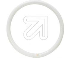 Osram Lumilux T9 Tubo Fluorescente GR10q, 32 W, Blanco (Cool White), 30.5 cm Energy class B