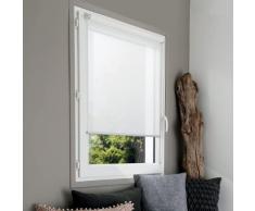 MADECOSTORE Estor Enrollable, Color Blanco, 40 x 170 cm (Largo x Ancho x Alto)