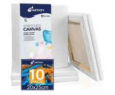 Lienzo estirado para pintar de 20 x 25 cm, paquete de 10 unidades, 300 g/m², triple imprimado sin ácidos, 100% algodón, lienzo de arte en blanco para verter acrÃlico pintura de acuarela al óleo