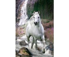 GB eye LTD, Bob Langrish, Waterfall, Maxi Poster, 61 x 91,5 cm