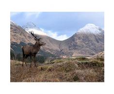Andrewmckie Red Deer Stag Glen Etive Scotland Photo Unframed Wall Art Print Poster Home Decor Premium Ciervo Escocia FotografÃ­a pared PÃ³ster Casa