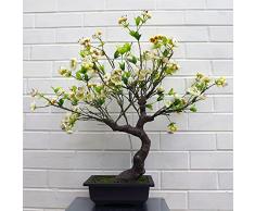 Leaf Hoja 60cm Artificial Ãrbol, BonsÃ¡i de Flor Blanca, 60 cm