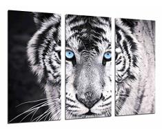 Poster FotogrÃ¡fico Tigre blanco y negro, ojos azules, animales TamaÃ±o total: 97 x 62 cm XXL