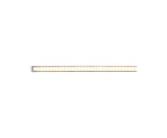 Paulmann 70676 MaxLED 1000 1 m, Strip 2700 K Blanco cÃ¡lido, Tira Recubrimiento, regleta de Luces 13,5Â W 1100 LM 144 LED 24 V, 13.5 W, Plateado