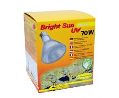 Lucky Reptile sol brillante lámpara