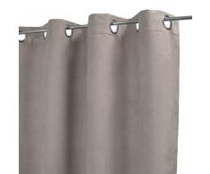 Homemaison Cortina Uni (Ante, poliéster, Gris, 250 x 140 cm