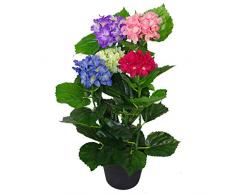 Leaf Planta Artificial de Hortensia de Hoja, 60 cm, Maceta de plástico Negro