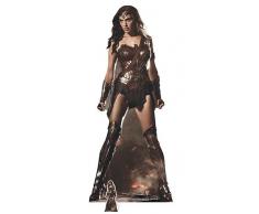 DC Comics Wonder Woman (GAL Gadot) Vida tamaño de cartón Recorte out, Multi Color