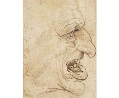 Da Vinci Head Grotesque Man Profile Right Drawing Art Print Canvas Premium Wall Decor Poster Mural Dibujo pared PÃ³ster