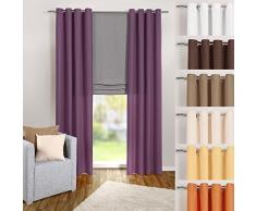 heimtexland® Cortina en Lila, Opaca, Pero Deja Pasar la luz, 245 x 140 cm â Cortina de Microfibra con Preciosa caÃda Ligera â Cortina Violeta Tipo 117
