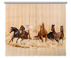 AG Design Fcsxxl 7422 Cortinas, Tela, Multicolor, 280 X 245 Cm