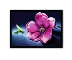 Cuadro en marco, póster moderno, pared artÃstica, varios temas 50 x 70 cm (magnolia)