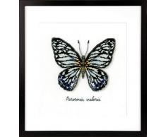 Vervaco – Kit para cojín de Punto de Cruz, diseño de Mariposa, Multicolor