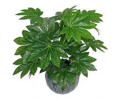 Leaf Design UK - Planta de follaje Artificial Grande con Maceta