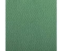Clairefontaine Papel de Dibujo de Grano de Colores Etival, Papel, Profundo Verde, 50 x 65 cm