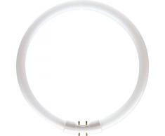 Philips 64261525 Lámpara TL5 Circular