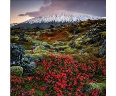 Pro-Art-Bilderpalette Mural fotogrÃ¡fico de Pared, Multicolor