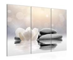 506031a - Cuadro de pared (120 x 80 cm, lienzo XXL, 3 piezas, fabricado en Alemania, listo para colgar), diseÃ±o de tulipanes