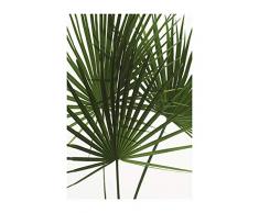 Komar Wandbild Von Palmtree Leaves | Poster, Bild, Wohnzimmer, Schlafzimmer, Dekoration, Kunstdruck | ohne Rahmen | P061-50x70 fotomural, Verde, Blanco