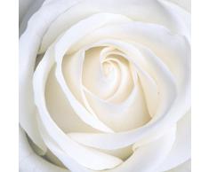 Legendarte Rosa Blanca Impresión Digital sobre Lienzo, cm. 90x90