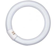 Osram LUMILUX T9 C - Lámpara fluorescente, G10QL 40 W/865 C
