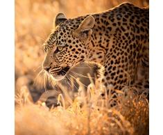 Pro-Art-Bilderpalette Mural fotogrÃ¡fico de Pared, Multicolor