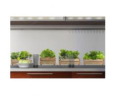 PLAGE Decoración Adhesiva Jardín de Cocina, Vinilo, Verde, 21x3x29.6 cm