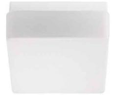 RZB 20128002 IP43 - Plafón para techo o pared